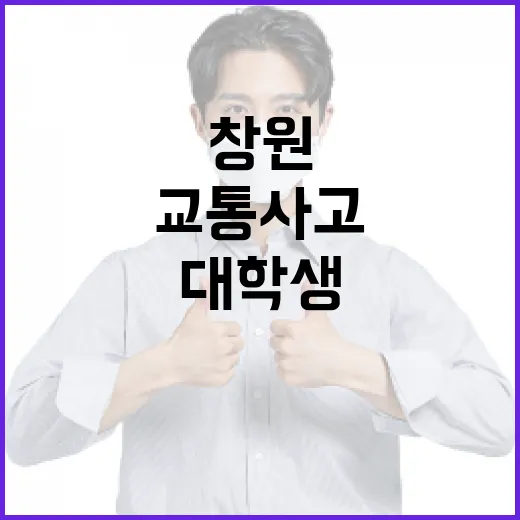 창원 대학생, 교통사고를 예방하는 방법 - 요약