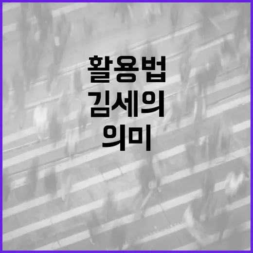김세의 이름이 주는 특별한 의미와 활용법 - 요약