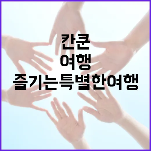 정원오 칸쿤에서 즐기는 특별한 여행 방법 - 요약