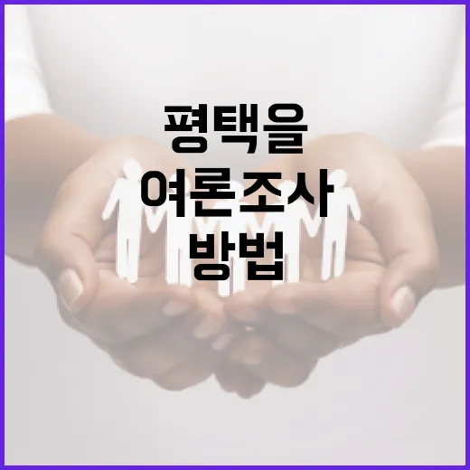 평택을 제대로 이해하는 방법: 여론조사 활용하기 - 요약
