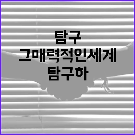 남주성, 그 매력적인 세계를 탐구하는 방법 - 요약