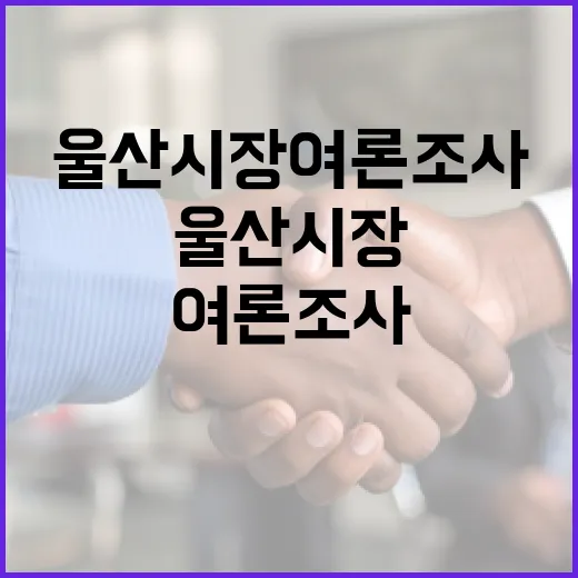 울산시장 여론조사, 이렇게 이해해보세요! - 요약