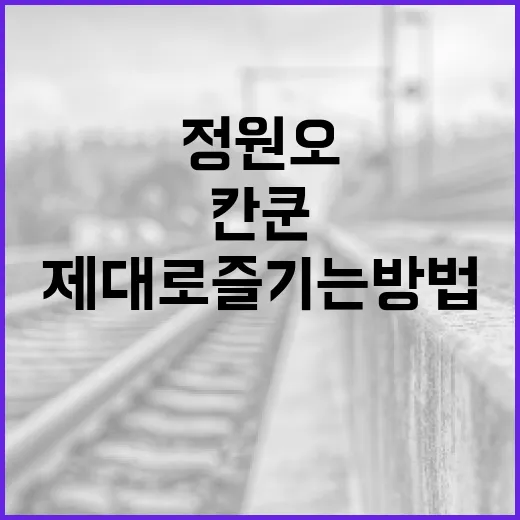 정원오 칸쿤을 제대로 즐기는 방법 - 요약