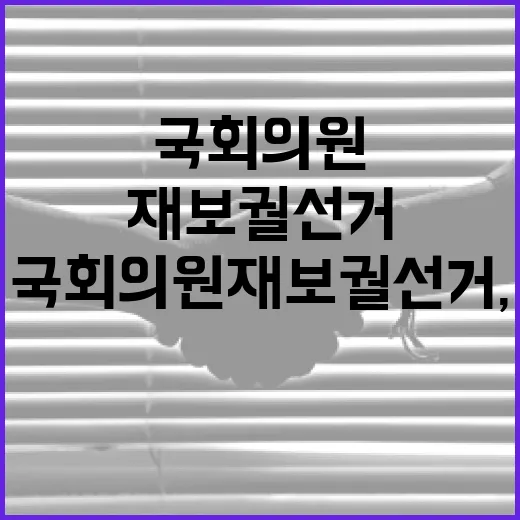 국회의원 재보궐선거, 왜 중요할까요? - 요약