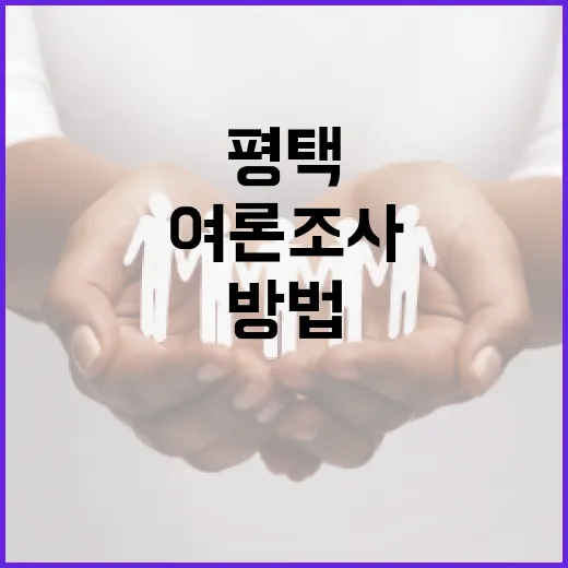 평택에서 여론조사를 효과적으로 활용하는 방법 - 요약