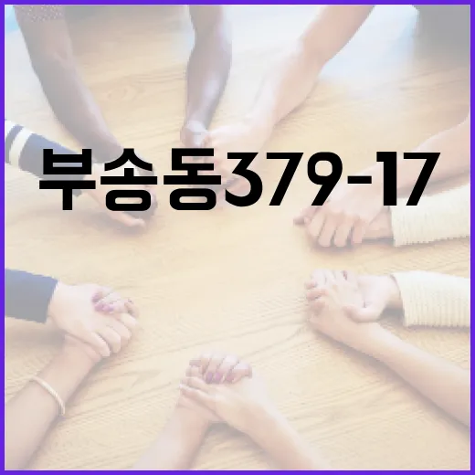 부송동 379-17, 이곳을 주목해야 하는 이유 - 요약