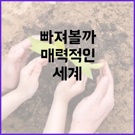 채연희, 그 매력적인 세계에 빠져볼까요? - 요약