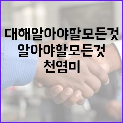 천영미에 대해 알아야 할 모든 것 - 요약
