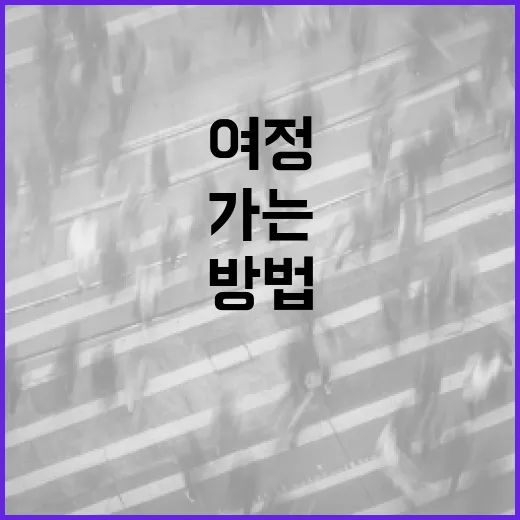 서울시장을 이해하는 방법: 서울의 심장을 알아가는 여정 - 요약
