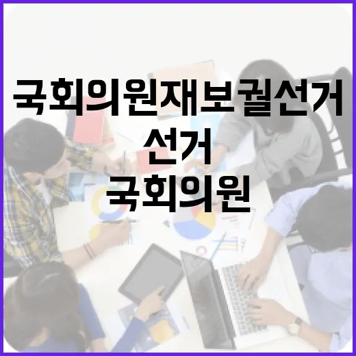 국회의원 재보궐선거, 제대로 이해하기 - 요약