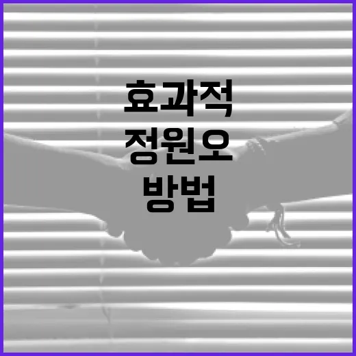 정원오를 효과적으로 활용하는 방법 - 요약