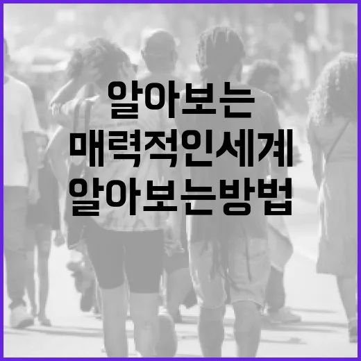 천영미의 매력적인 세계를 알아보는 방법 - 요약