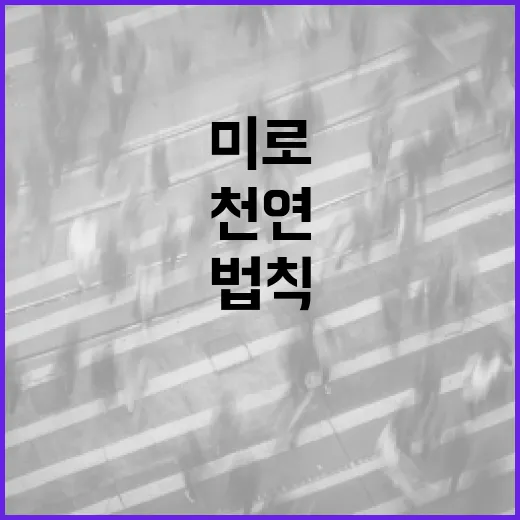 천영미로 알아보는 자연의 법칙 - 요약