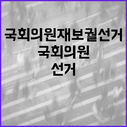 국회의원 재보궐선거, 알아두면 좋은 상식 - 요약