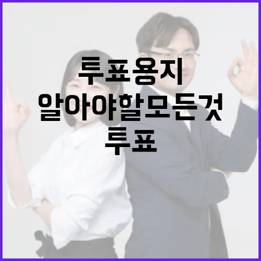 투표용지에 대해 알아야 할 모든 것 - 요약