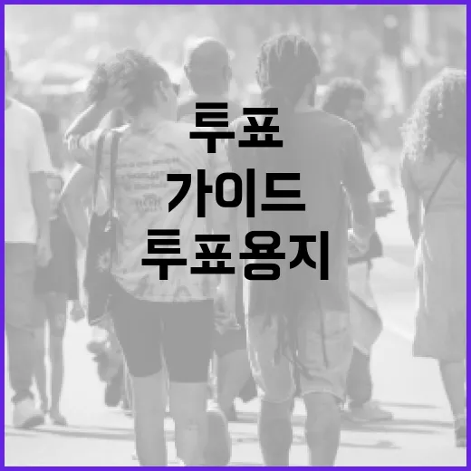 투표용지: 알아두면 유용한 정보 가이드 - 요약