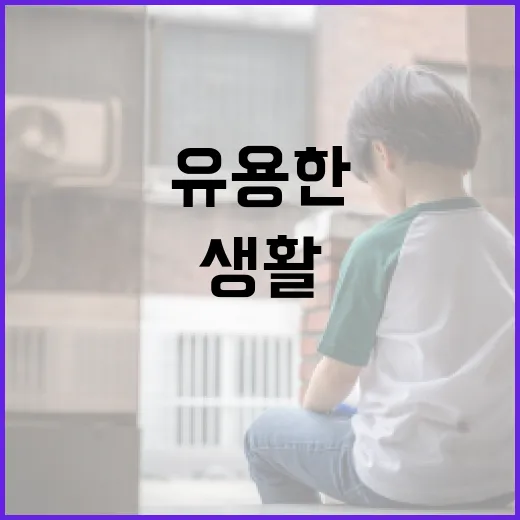 이기재를 활용하는 방법: 생활에 유용한 팁 - 요약