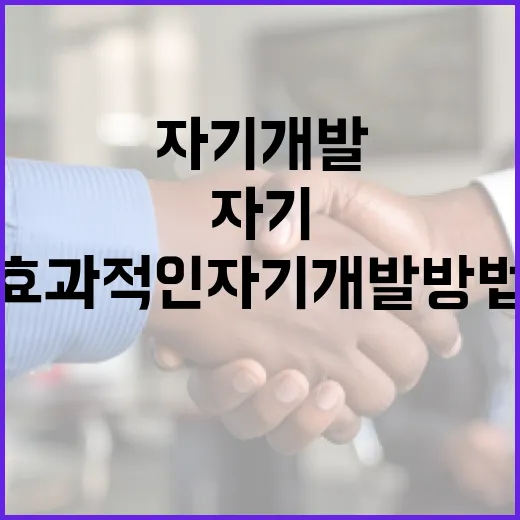 이기재 활용을 통한 효과적인 자기 개발 방법 - 요약