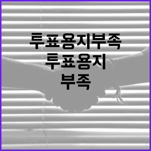 투표용지 부족 문제 해결을 위한 실질적인 방법 - 요약