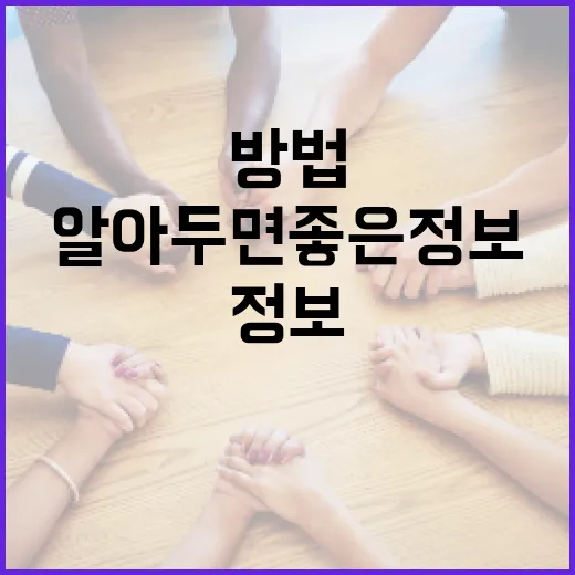 선관위와 친해지는 방법: 알아두면 좋은 정보 - 요약