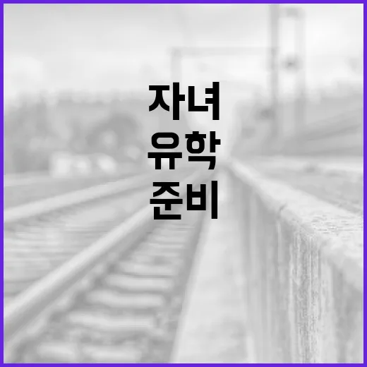 한동훈 자녀의 해외 유학 준비 과정, 어떻게 하면 좋을까? - 요약