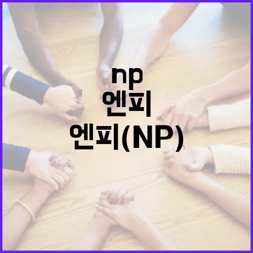 엔피(NP) 이해하고 활용하는 방법 - 요약