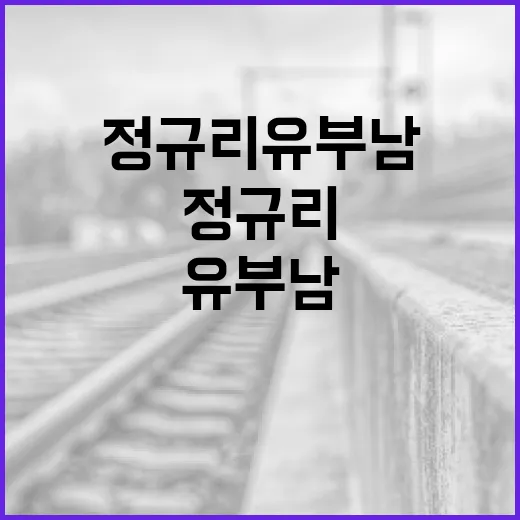 정규리 유부남, 그들의 삶과 고민 이해하기 - 요약