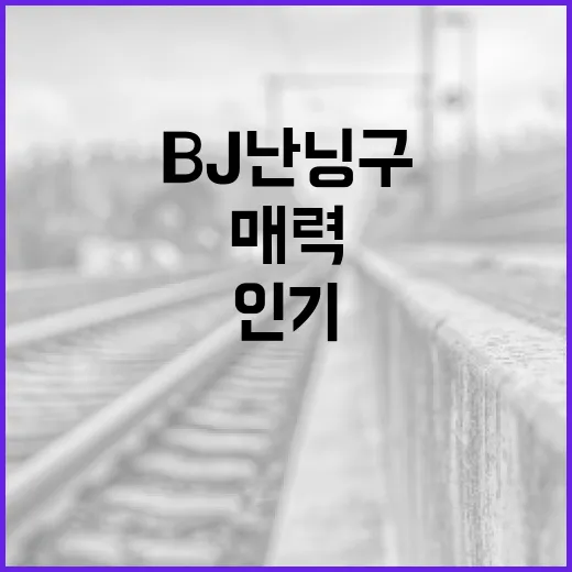 BJ난닝구의 매력에 빠져보세요: 인기의 비결은? - 요약
