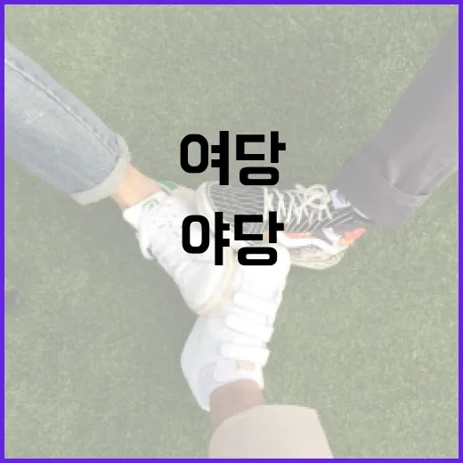 여당과 야당, 그 뜻과 역할을 알아보자 - 요약