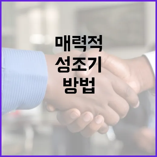 성조기를 매력적으로 사용하는 방법 - 요약