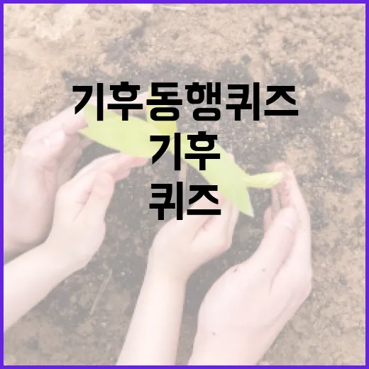 기후동행퀴즈 아는 만큼 챌린지하기 - 요약