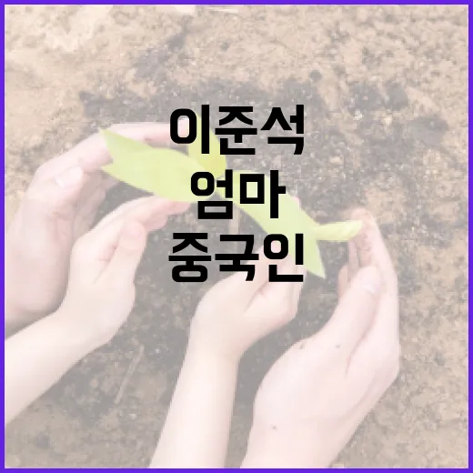 이준석의 엄마가 중국인인 이유와 그 의미 - 요약
