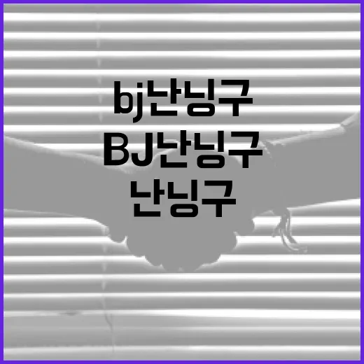 BJ난닝구의 매력에 빠져보자: 그의 인기 비결은? - 요약