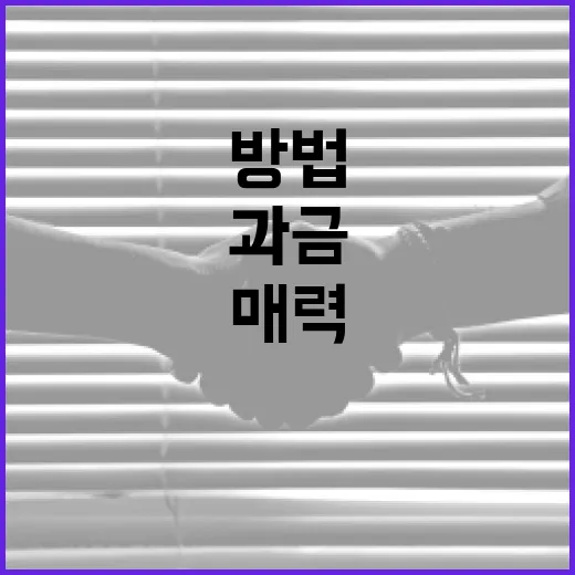 방첩사가 되는 방법과 그 매력 - 요약
