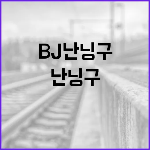 BJ난닝구를 더욱 재미있게 즐기는 방법 - 요약