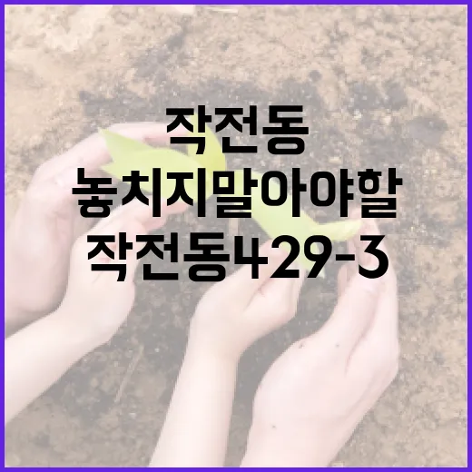 작전동 429-3에서 놓치지 말아야 할 것들 - 요약