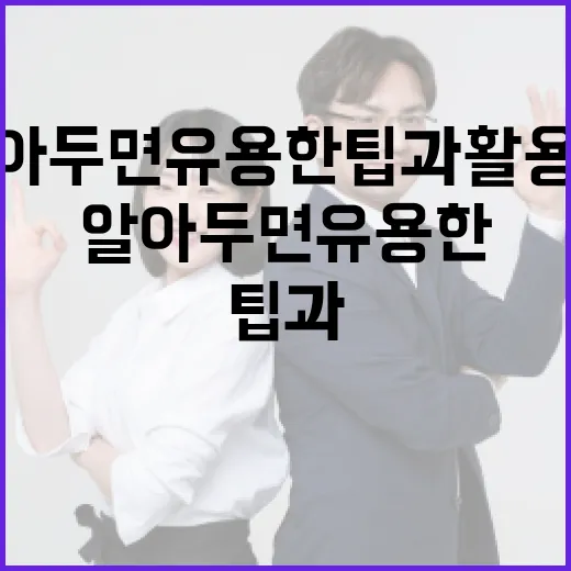 정규리, 알아두면 유용한 팁과 활용법 - 요약