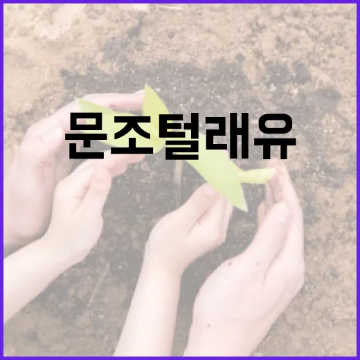 문조털래유, 이 단어의 진짜 뜻은? - 요약