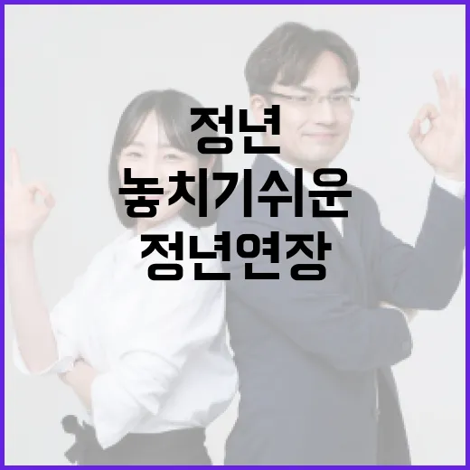 정년연장을 위한 준비: 놓치기 쉬운 포인트들 - 요약