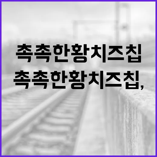 촉촉한 황치즈칩, 이렇게 즐기면 더 맛있어요! - 요약