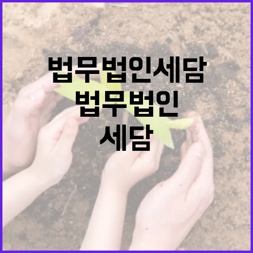 법무법인 세담, 어떻게 선택할까요? - 요약