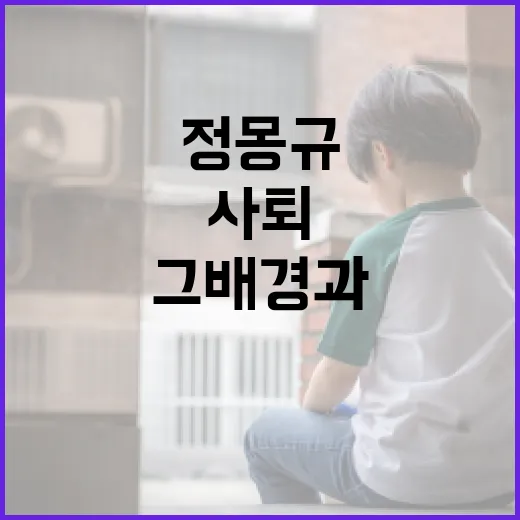 정몽규 사퇴를 둘러싼 이야기: 그 배경과 영향을 이해하는 방법 - 요약