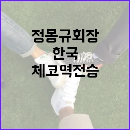 정몽규 회장 떠난 뒤, 한국 축구의 체코 역전승 비결 - 요약