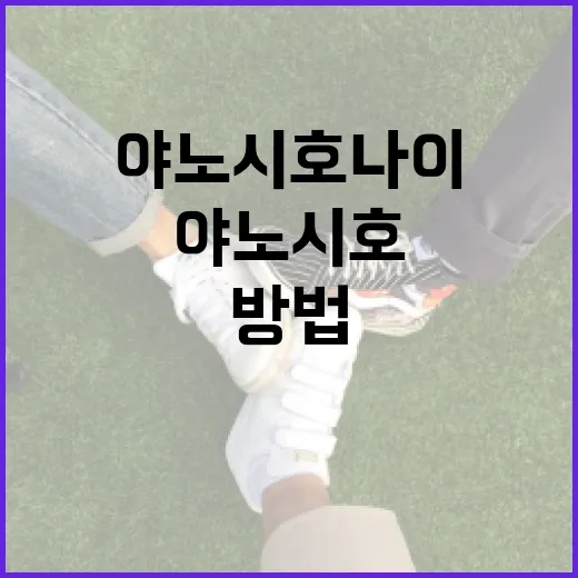 야노시호나이를 이해하는 방법 - 요약