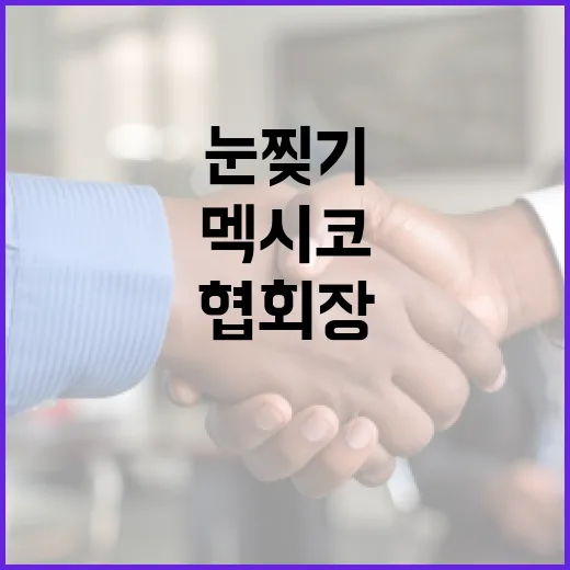 멕시코 협회장 사건: 눈 찢기 논란과 그 파장 - 요약