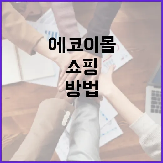 에코이몰에서 쇼핑하는 방법과 팁 - 요약
