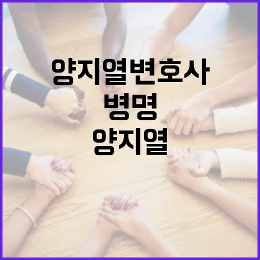 양지열 변호사의 병명에 대해 알아보는 방법 - 요약