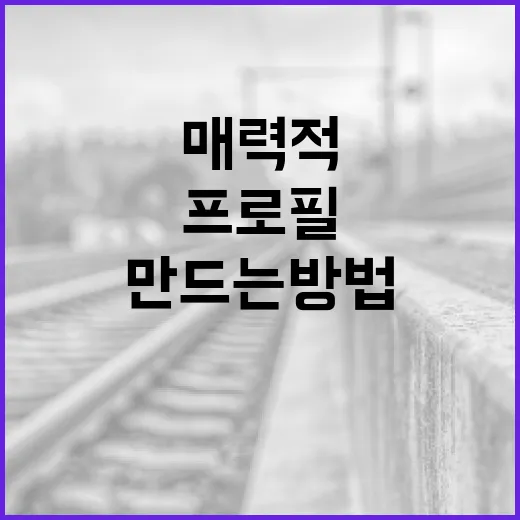 박정보의 프로필을 매력적으로 만드는 방법 - 요약