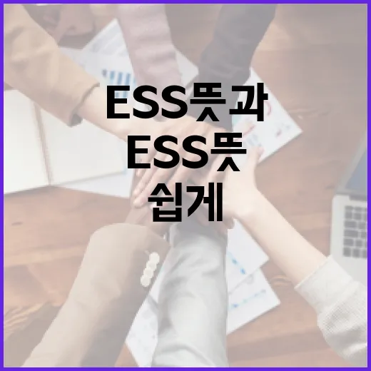 ESS 뜻과 활용법: 일상에서 쉽게 이해하기 - 요약