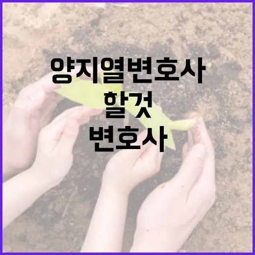 양지열 변호사에 대해 알아야 할 것들 - 요약